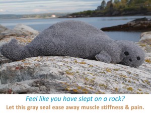 Gray Seal heating pad resting on a rock near the ocean; words say, "Feel like you have slept on a rock? Let this gray seal ease away muscle stiffness & pain."