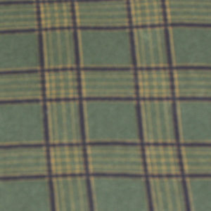 Evergreen Plaid color swatch