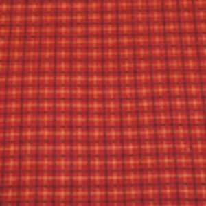 swatch of autumn harvest flannel