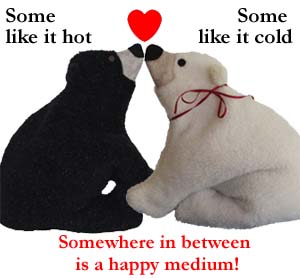 Polar Bear and Black Bear Heating Pads almost kissing with a heart and text - Some like it hot, Some like it cold, Somewhere in between is a happy medium