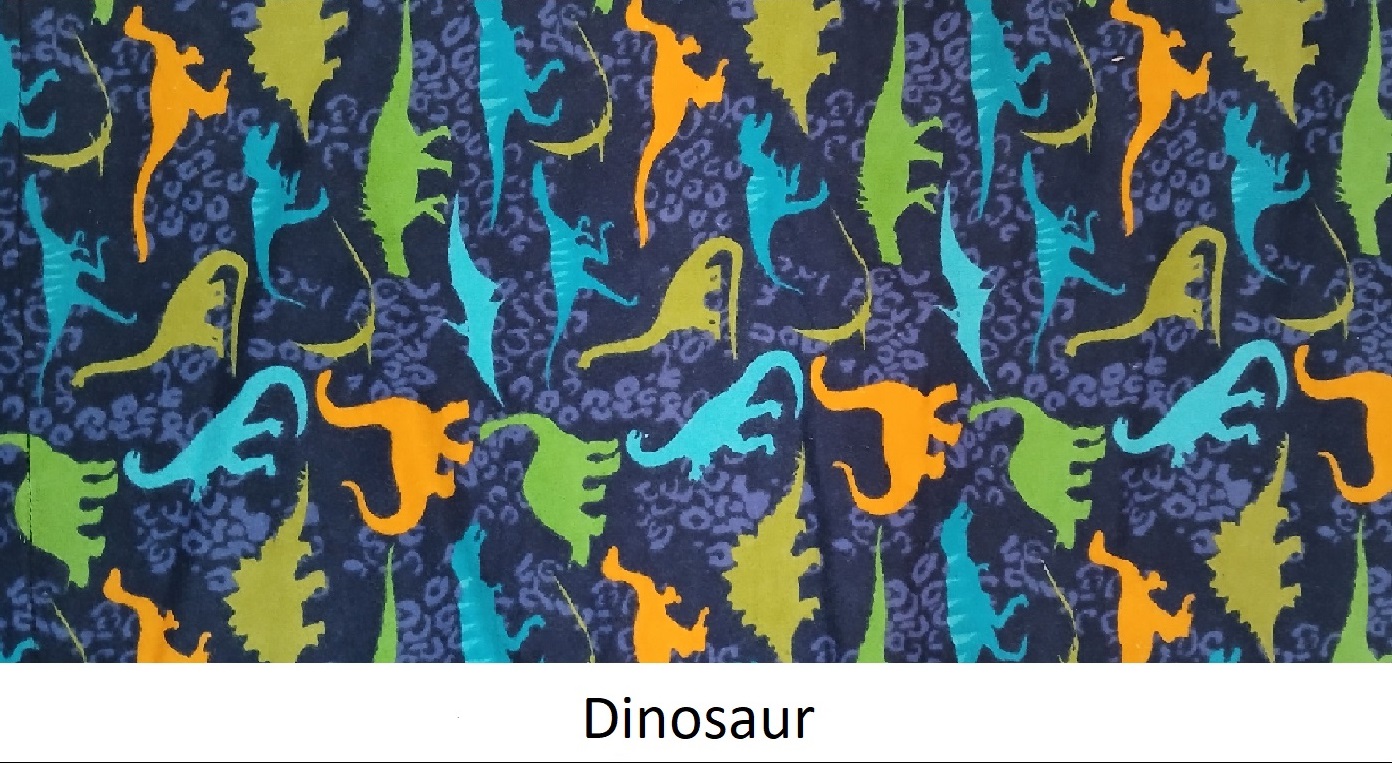 FBW-Dinosaur_withLabel