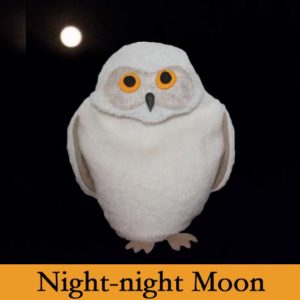 Snowy Owl on back drop of night sky with moon, text says, "night night moon."