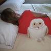 Woman using Maine Warmers Snowy Owl heating pad on her back while lying on her side