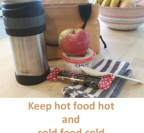 Lunch with hot food in thermos and cold food in cold pack with ice