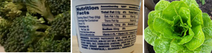 broccoli, lettuce, and Greek Cream Cheese nutrition facts