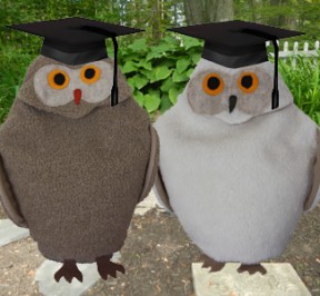 Maine Warmers' Snowy Owl and Tan Owl wearing graduation hats