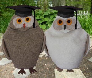 Maine Warmers' Snowy Owl and Tan Owl wearing graduation hats