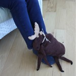 Moose Heating Pad on Feet