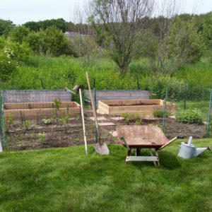 Gardening in Maine